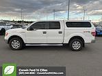 Used 2013 Ford F-150 XLT SuperCrew Cab 4x4, Pickup for sale #6A48418 - photo 4