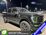 Used 2023 Ford F-150 Platinum SuperCrew Cab 4x4, Pickup for sale #6C10690 - photo 1