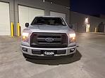 Used 2016 Ford F-150 XL SuperCrew Cab 4x2, Pickup for sale #6D95099 - photo 5