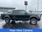 2014 Ford F-150 SuperCrew Cab 4x4, Pickup for sale #359480B - photo 11