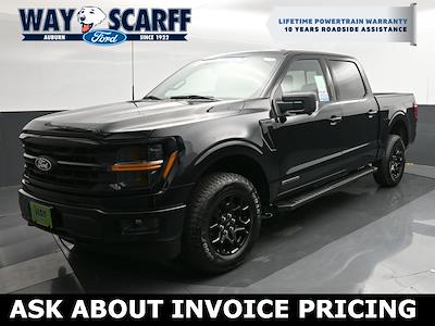 New 2024 Ford F-150 XLT SuperCrew Cab 4x4, Pickup for sale #D22180 - photo 1