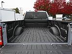 2024 Ford F-350 Crew Cab SRW 4x4, Pickup for sale #D22760 - photo 20