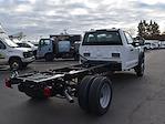 2024 Ford F-450 Regular Cab DRW 4x4, Cab Chassis for sale #D29200 - photo 6