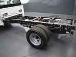 2024 Ford F-350 Regular Cab DRW 4x2, Cab Chassis for sale #D29320 - photo 23