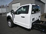 2024 Ford F-450 Regular Cab DRW 4x2, Cab Chassis for sale #D29450 - photo 5