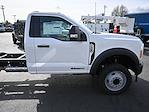 2024 Ford F-450 Regular Cab DRW 4x2, Cab Chassis for sale #D29450 - photo 9