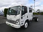 New 2024 Isuzu NQR Crew Cab 4x2, Cab Chassis for sale #D77910 - photo 4