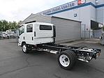 New 2024 Isuzu NQR Crew Cab 4x2, Cab Chassis for sale #D77910 - photo 2