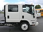 New 2024 Isuzu NQR Crew Cab 4x2, Cab Chassis for sale #D77910 - photo 8