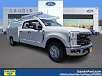 2024 Ford F-250 Crew Cab 4x2, Scelzi Signature Service Truck for sale #24T1054 - photo 1