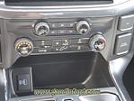 2024 Ford F-150 SuperCrew Cab 4x2, Pickup for sale #24T1266 - photo 14