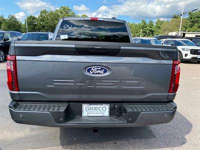 2024 Ford F-150 SuperCrew Cab 4x4, Pickup for sale #F247099 - photo 2