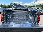 2024 Ford F-150 SuperCrew Cab 4x4, Pickup for sale #F247100 - photo 5