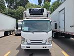 Used 2018 Isuzu NQR Regular Cab 4x2, Refrigerated Body for sale #808544 - photo 3