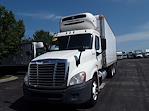 Used 2018 Freightliner Cascadia Sleeper Cab 6x4, Refrigerated Body for sale #680782 - photo 1