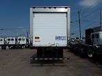 Used 2019 Freightliner M2 106 Conventional Cab 4x2, Refrigerated Body for sale #881975 - photo 6