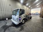 Used 2019 Isuzu NQR Regular Cab 4x2, Cab Chassis for sale #229143 - photo 1