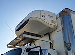 Used 2019 Freightliner M2 106 Conventional Cab 4x2, Refrigerated Body for sale #820665 - photo 7