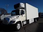 Used 2014 Hino 338 Single Cab 4x2, Refrigerated Body for sale #594532 - photo 1