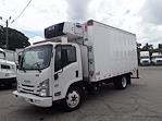 Used 2017 Isuzu NQR Regular Cab 4x2, Refrigerated Body for sale #673628 - photo 1