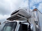 Used 2015 Freightliner M2 106 Conventional Cab 4x2, Refrigerated Body for sale #564846 - photo 7