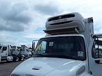 Used 2017 Freightliner M2 106 Conventional Cab 4x2, Refrigerated Body for sale #663043 - photo 7