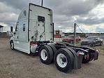 Used 2019 Freightliner Cascadia Sleeper Cab 6x4, Semi Truck for sale #809356 - photo 6