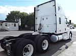 Used 2019 Freightliner Cascadia Sleeper Cab 6x4, Semi Truck for sale #861392 - photo 5