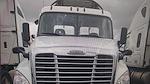 Used 2019 Freightliner Cascadia Day Cab 6x4, Semi Truck for sale #813650 - photo 1