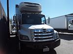 Used 2014 Hino 268A Single Cab 4x2, Refrigerated Body for sale #536363 - photo 3