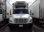 Used 2016 Freightliner M2 106 Conventional Cab 4x2, Refrigerated Body for sale #650014 - photo 3