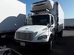 Used 2016 Freightliner M2 106 Conventional Cab 4x2, Box Truck for sale #654358 - photo 3