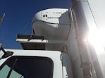 Used 2016 Freightliner M2 106 Conventional Cab 4x2, Box Truck for sale #654358 - photo 7