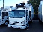 Used 2016 Isuzu NQR Regular Cab 4x2, Cab Chassis for sale #662449 - photo 3