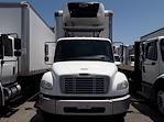Used 2017 Freightliner M2 106 Conventional Cab 4x2, Refrigerated Body for sale #665845 - photo 8