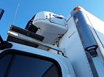 Used 2017 Freightliner M2 106 Conventional Cab 4x2, Cab Chassis for sale #679089 - photo 7