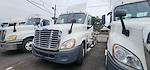 Used 2016 Freightliner Cascadia Day Cab 6x4, Semi Truck for sale #649908 - photo 1