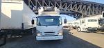 Used 2017 Isuzu NQR Regular Cab 4x2, Box Truck for sale #676112 - photo 3