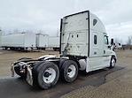 Used 2019 Freightliner Cascadia Sleeper Cab 6x4, Semi Truck for sale #813181 - photo 5