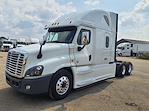 Used 2019 Freightliner Cascadia Sleeper Cab 6x4, Semi Truck for sale #821556 - photo 1