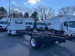 Used 2019 Hino 268A Single Cab 4x2, Cab Chassis for sale #873694 - photo 2