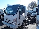 Used 2019 Isuzu NQR Regular Cab 4x2, Cab Chassis for sale #246699 - photo 1