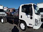 Used 2019 Isuzu NQR Regular Cab 4x2, Cab Chassis for sale #246699 - photo 4