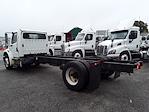 Used 2015 Freightliner M2 106 Conventional Cab 4x2, Cab Chassis for sale #337072 - photo 2