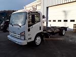 Used 2015 Isuzu NQR Regular Cab 4x2, Cab Chassis for sale #356891 - photo 1