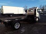 Used 2015 Isuzu NQR Regular Cab 4x2, Cab Chassis for sale #356891 - photo 4