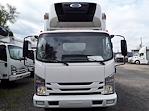 Used 2017 Isuzu NQR Regular Cab 4x2, Refrigerated Body for sale #674308 - photo 3