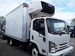 Used 2017 Isuzu NQR Regular Cab 4x2, Refrigerated Body for sale #674308 - photo 4