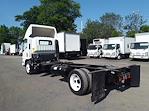 Used 2017 Isuzu NQR Regular Cab 4x2, 18' Cab Chassis for sale #674316 - photo 1