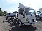 Used 2017 Isuzu NQR Regular Cab 4x2, 18' Cab Chassis for sale #674316 - photo 6
